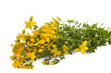 hypericum izole