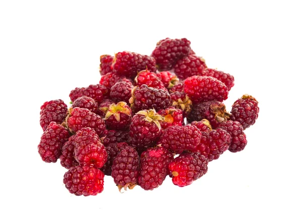 Fresh Raspberries isolated — Stock Photo, Image