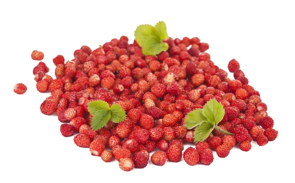Delicious wild strawberries — Stock Photo, Image
