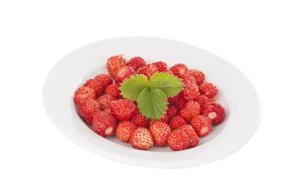 Wild Strawberry — Stock Photo, Image