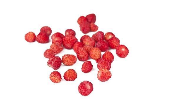 야생 딸기의 열매 — 스톡 사진