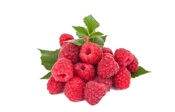 Fresh raspberries isolated — Stock Photo, Image