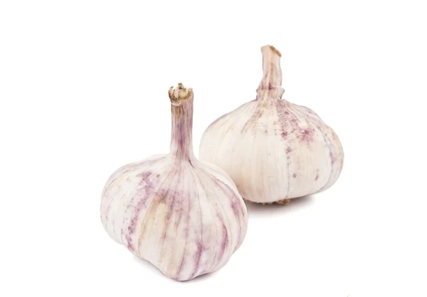 Garlic isolated — Stock Photo, Image