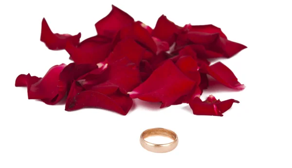 Anello di fidanzamento con petali di rosa isolati — Foto Stock