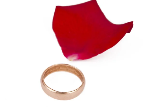 Обручальное кольцо с изолированными лепестками роз — стоковое фото