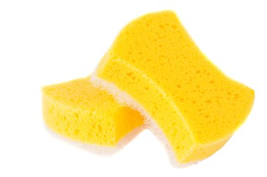 Sponge isolated clipart