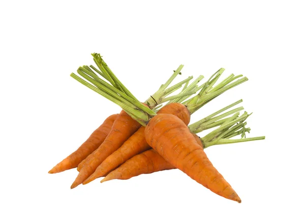 Zanahorias frescas aisladas —  Fotos de Stock