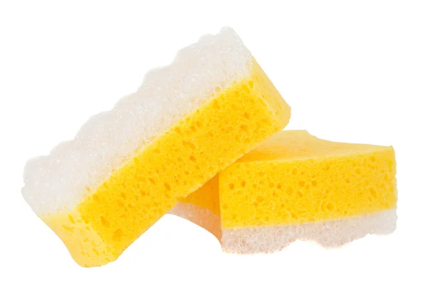 Sponge isolated — Stock Photo, Image