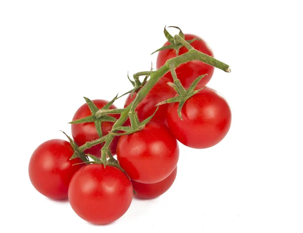 Cherry Tomaten geïsoleerd — Stockfoto