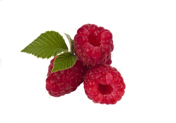 Fresh raspberries isolated — Stock Photo, Image