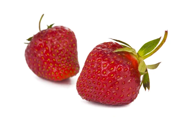 成熟的草莓隔离 — 图库照片