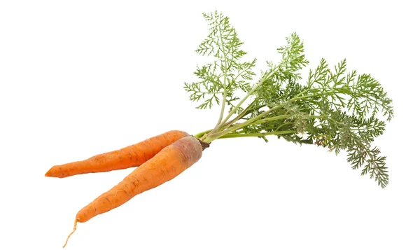 Zanahorias con hojas aisladas —  Fotos de Stock