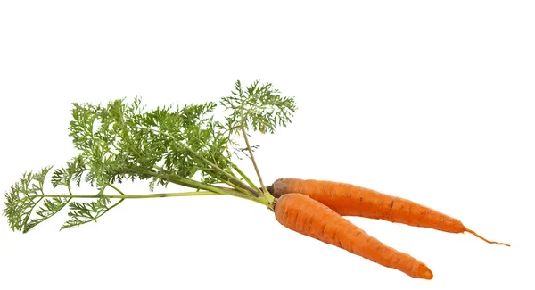 Zanahorias con hojas aisladas —  Fotos de Stock