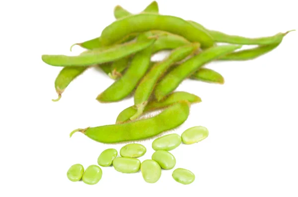 Green soybeans isolated — Stock Photo, Image