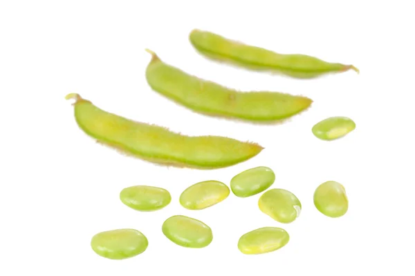 Soybeans isolated — Stock Photo, Image