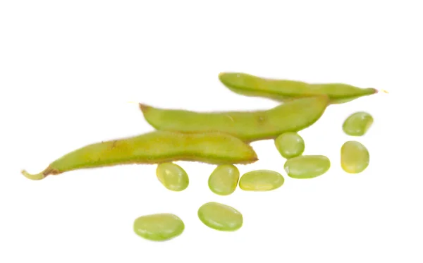 Soybeans isolated — Stock Photo, Image