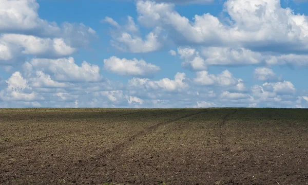 stock image Plowed field with a blue sky and clouds