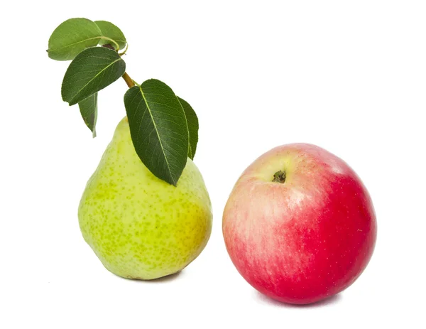 사과 배 절연 — 스톡 사진