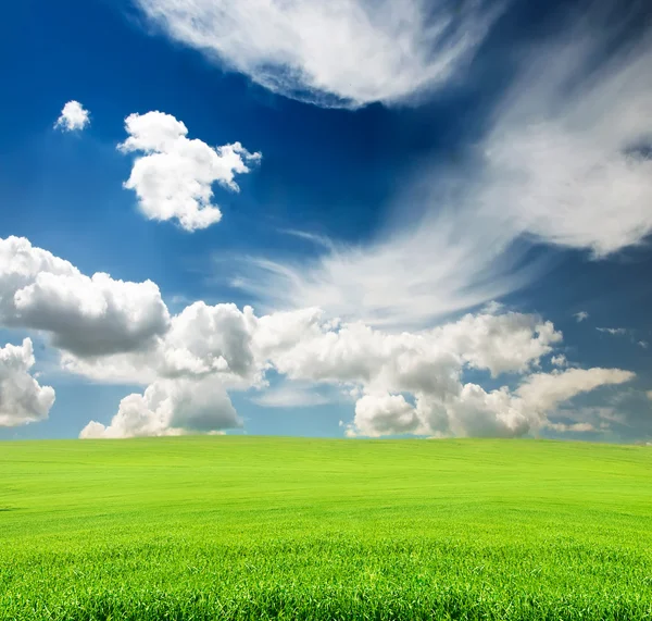 Ουρανό με πράσινο γρασίδι στο πεδίο — Φωτογραφία Αρχείου