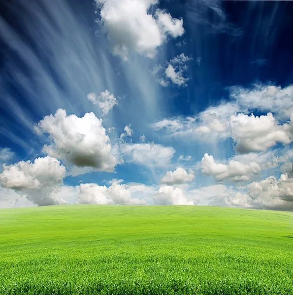 Облачное небо с зеленым травяным лугом — стоковое фото