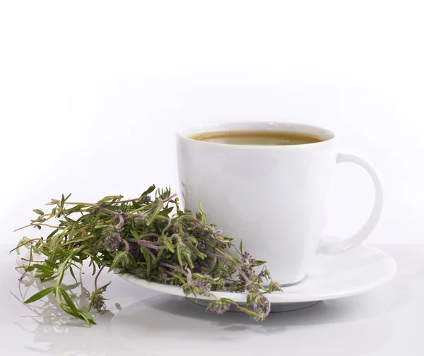 Šálek bylinkového čaje — Stock fotografie