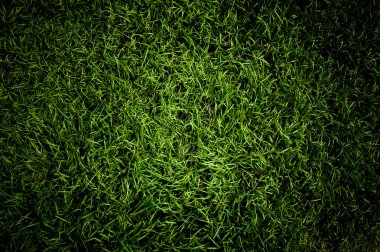 Green grass background clipart