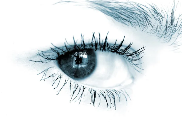 Close-up shot van blauw oog op witte achtergrond — Stockfoto