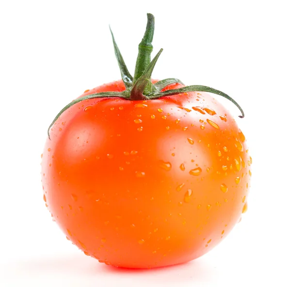 Pomodoro rosso — Foto Stock