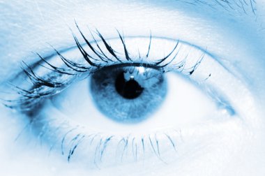 Human eye. macro shooting clipart