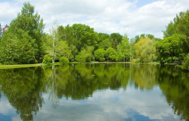 Calm lake in the middle of the forest clipart