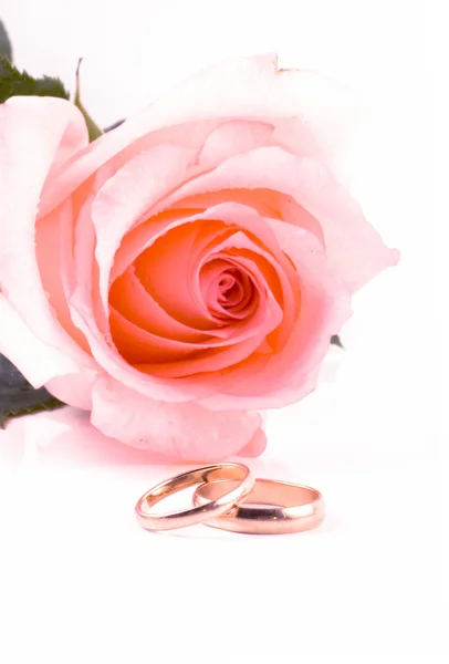 Twee Gouden trouwringen naast een roze roos. — Stockfoto