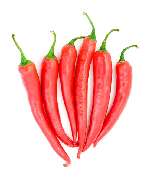 Chili pepper, samostatný — Stock fotografie