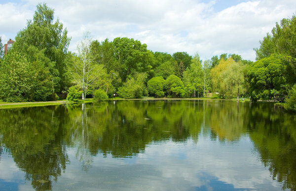 Calm lake in the middle of the forest