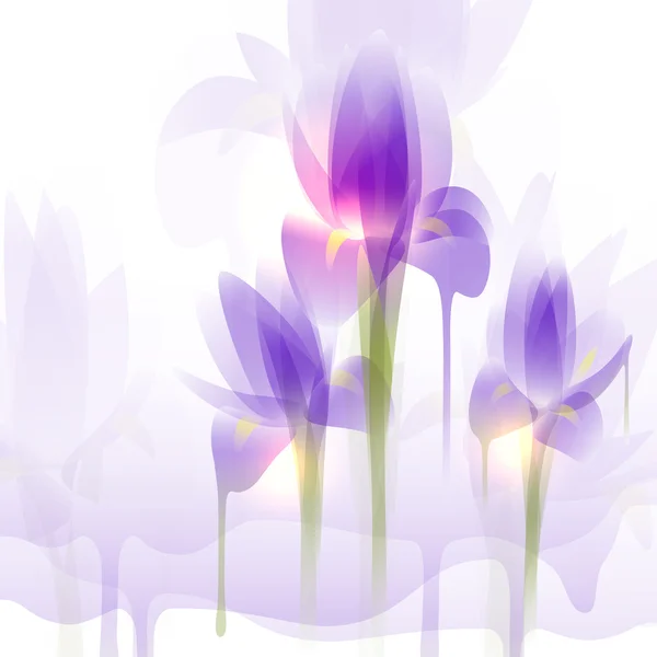 Flores de iris — Vector de stock