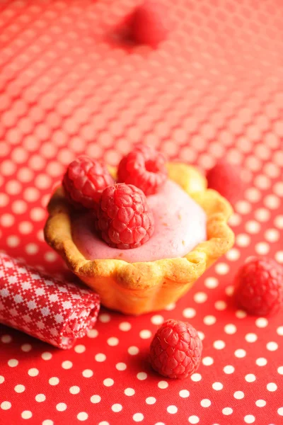 Kuchen mit Himbeer-Joghurt-Dessert — Stockfoto