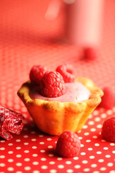 Torta con dessert allo yogurt al lampone — Foto Stock