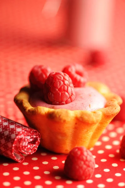 Ciasto z malinowym deserem jogurtowym — Zdjęcie stockowe