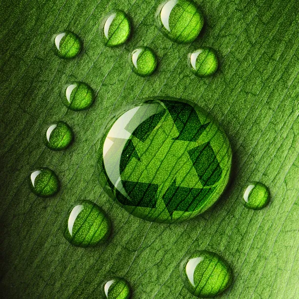 Gotas de água na folha e reciclar o logotipo — Fotografia de Stock