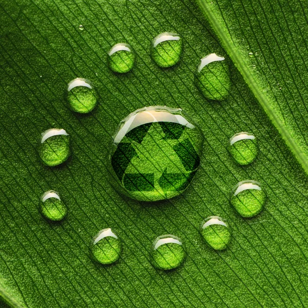 Gotas de agua en la hoja y reciclar el logotipo — Foto de Stock