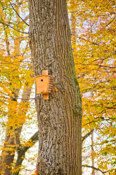 Karmnik w jesień las — Zdjęcie stockowe