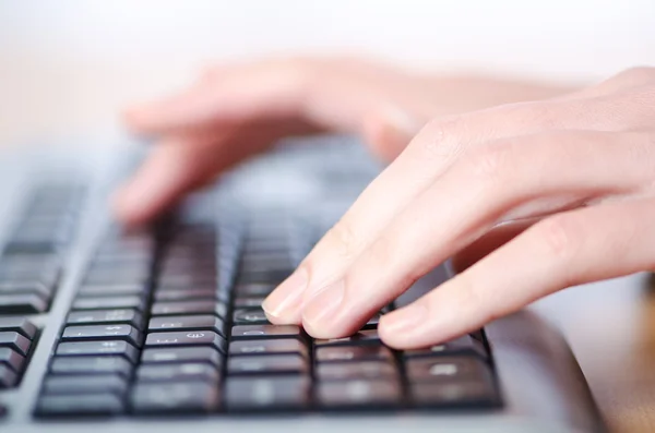 stock image Hands typing on the keyboard