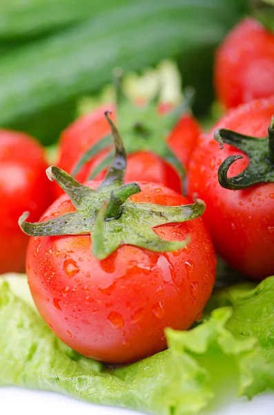 Tomates y pepinos listos para la ensalada — Foto de Stock