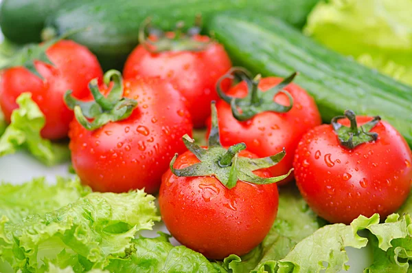 Tomaten und Gurken für den Salat — Stockfoto