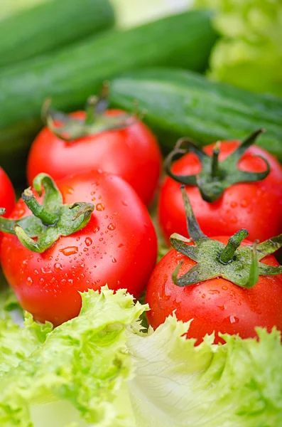 Pomidory i ogórki gotowe do sałatki — Zdjęcie stockowe