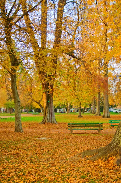 Осень в городском парке — стоковое фото