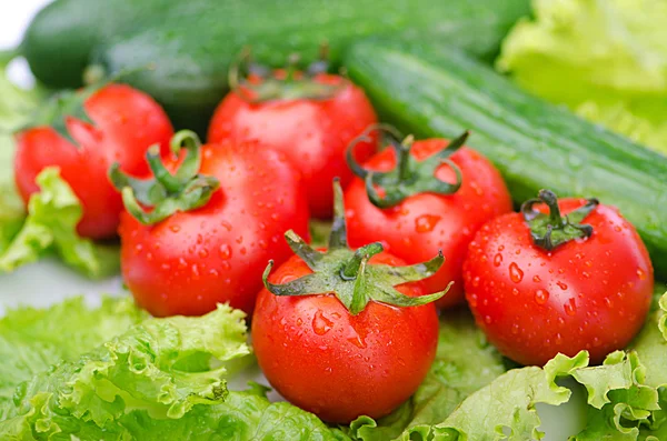 Tomates y pepinos listos para la ensalada —  Fotos de Stock