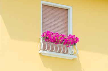 taze çiçekler ile güzel balkon