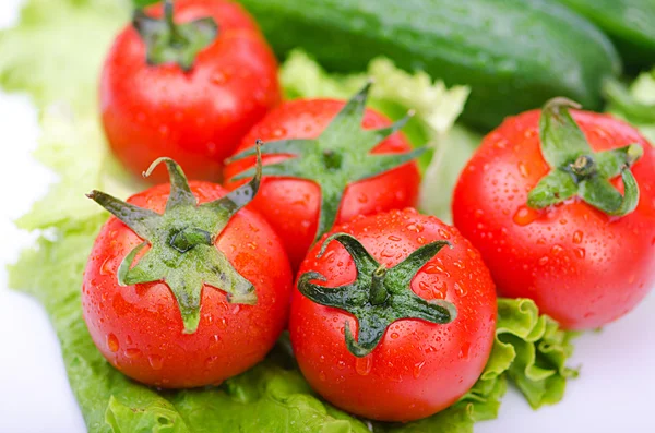 Pomidory i ogórki gotowe do sałatki — Zdjęcie stockowe