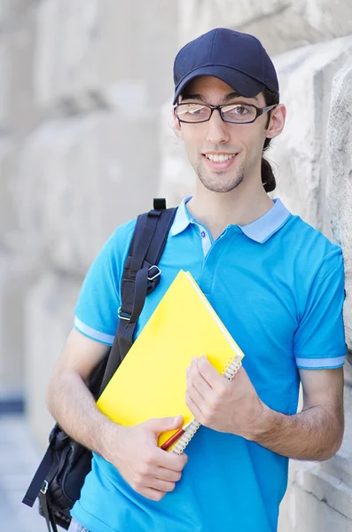 Estudiante fuera preparándose para los exámenes — Foto de Stock