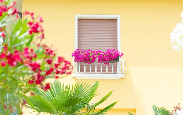 Bonito balcón con flores frescas — Foto de Stock